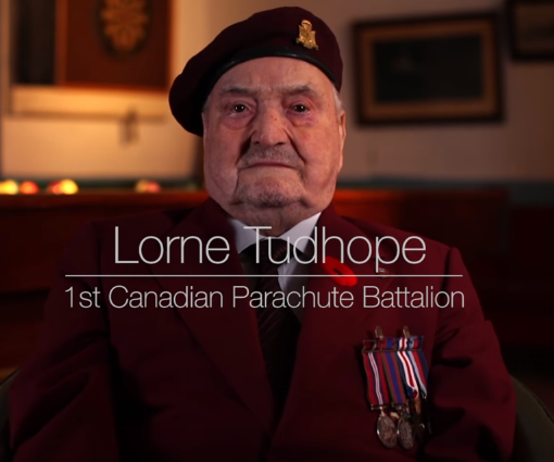 Veterans day inspirational stories