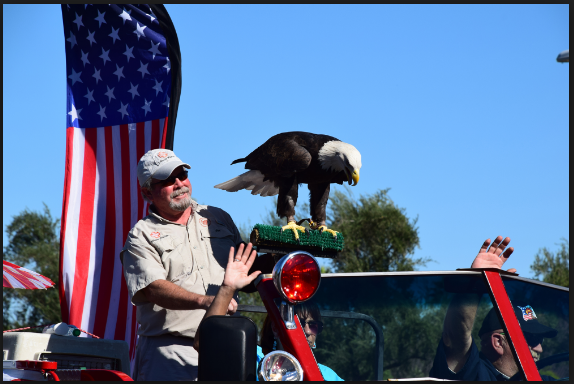 Annual phoenix veterans day parade pictures and images